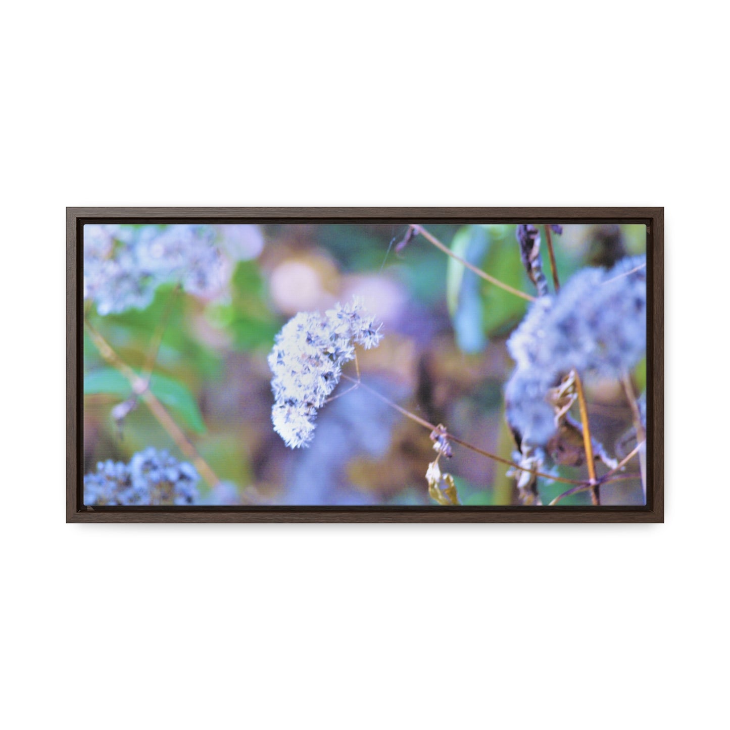 Macro Blue Gallery Canvas Wraps, Horizontal Frame