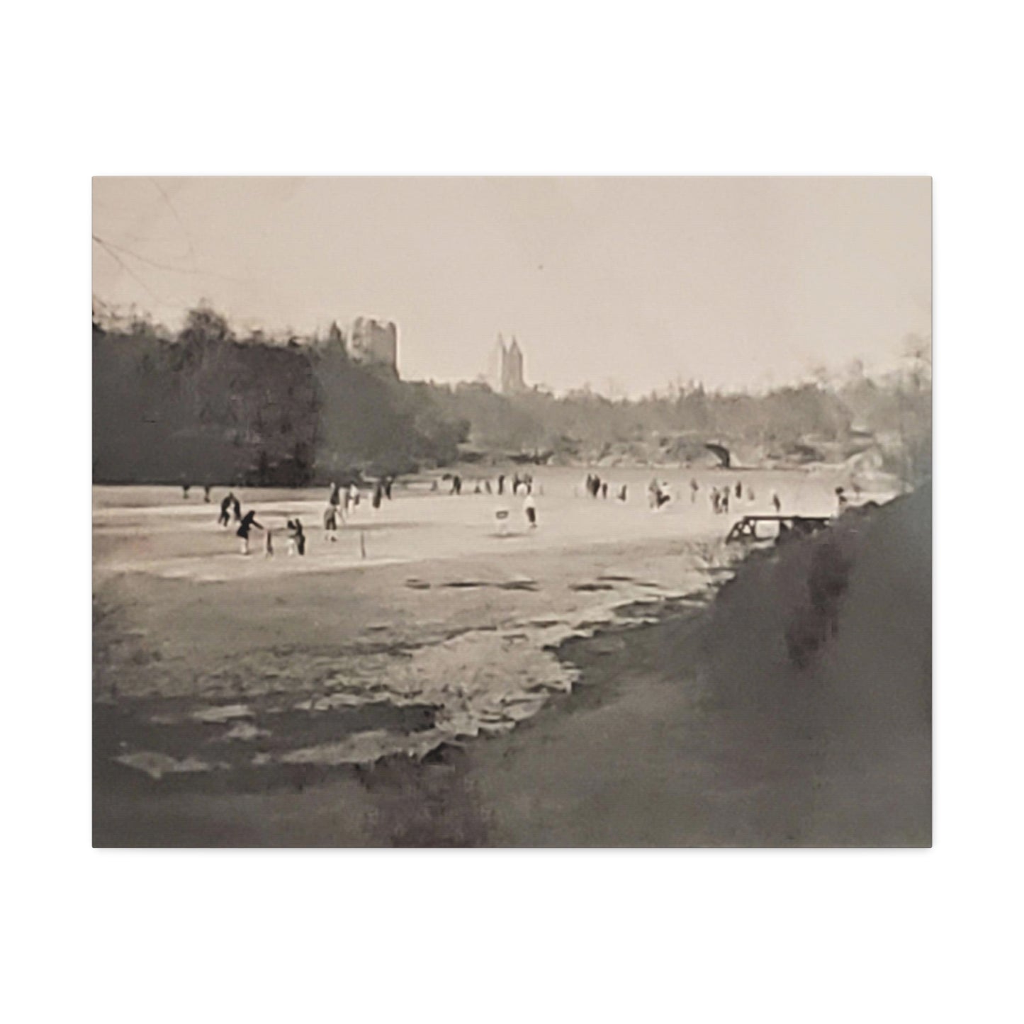 Central Park Stretched Canvas