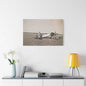 Army Pursuit Plane Ames Airport 1939 Satin Canvas Stretched 36″ x 24″ (Horizontal) 1.5"