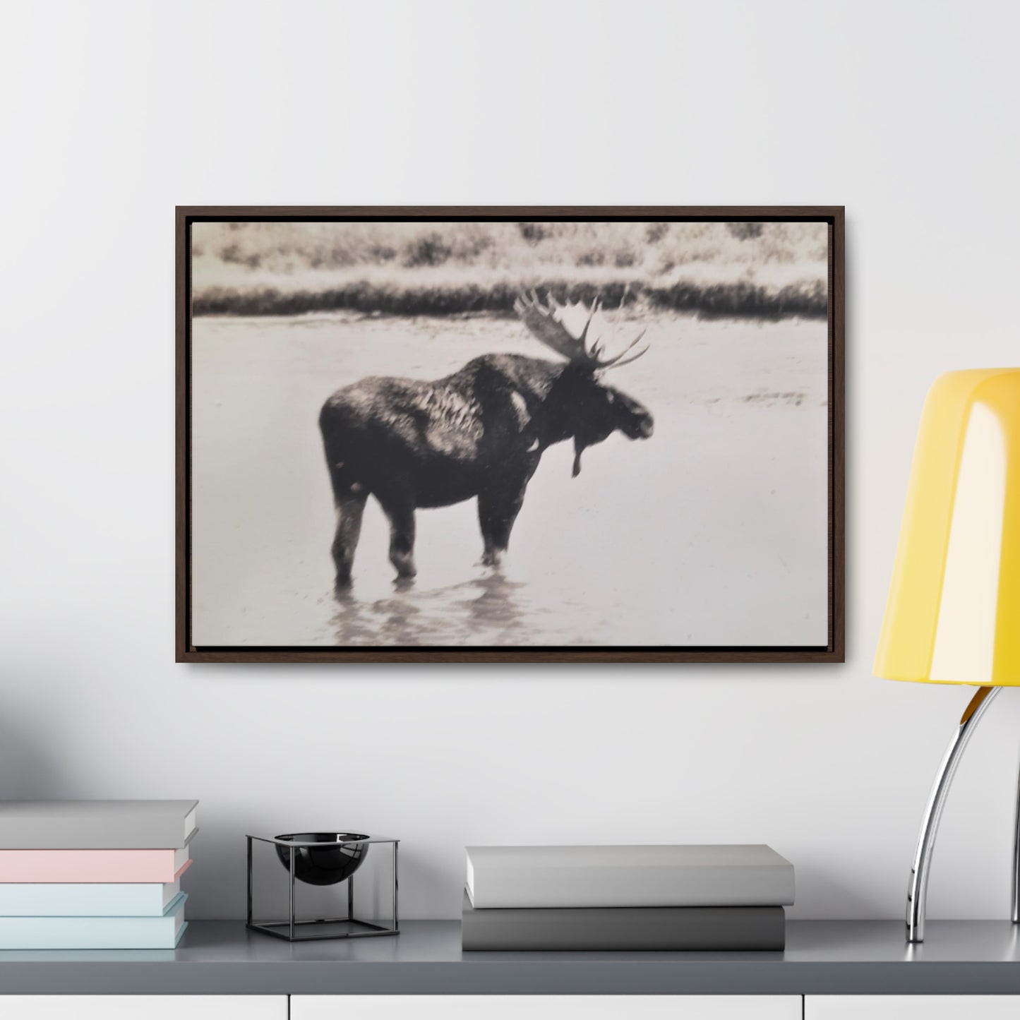 Yellowstone Bull Moose Gallery Canvas Wraps, Horizontal Frame