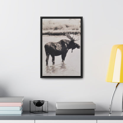 Yellowstone Bull Moose Gallery Canvas Wraps Vertical Frame 12″ x 18″ Premium Gallery Wraps (1.25″) Black