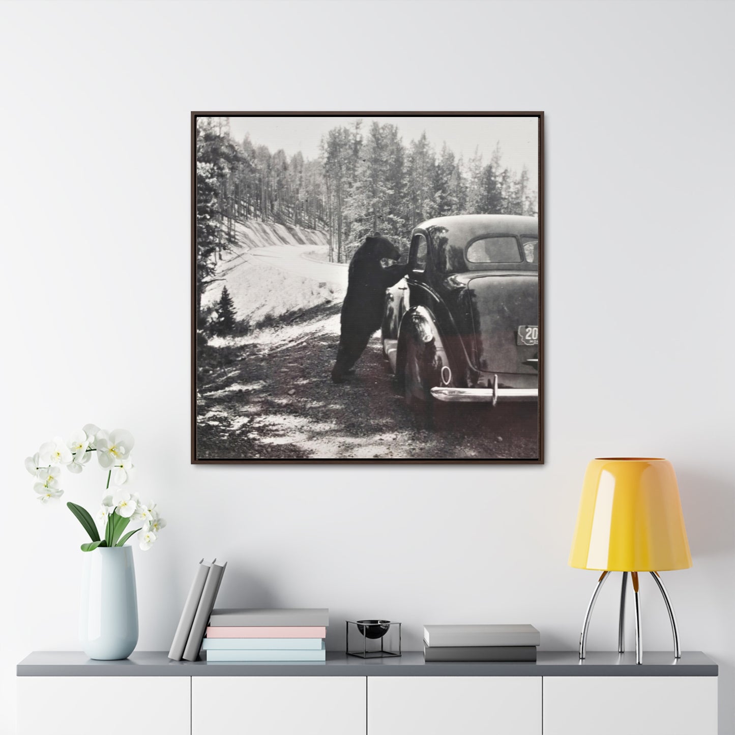 Yellowstone Bear Car Gallery Canvas Wraps, Square Frame