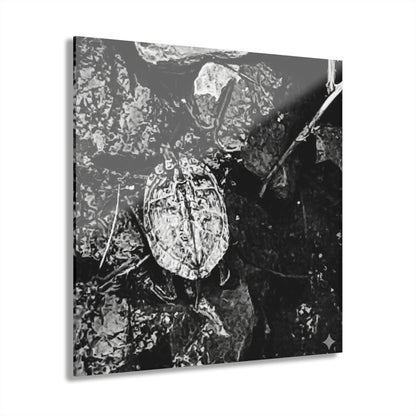 Black & White Turtle Macro Acrylic Print — Modern Nature Wall Art French Cleat Hanging - 12″ x 12″ 0.25'' - Home Decor