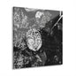 Black & White Turtle Macro Acrylic Print — Modern Nature Wall Art French Cleat Hanging - 12″ x 12″ 0.25'' - Home Decor