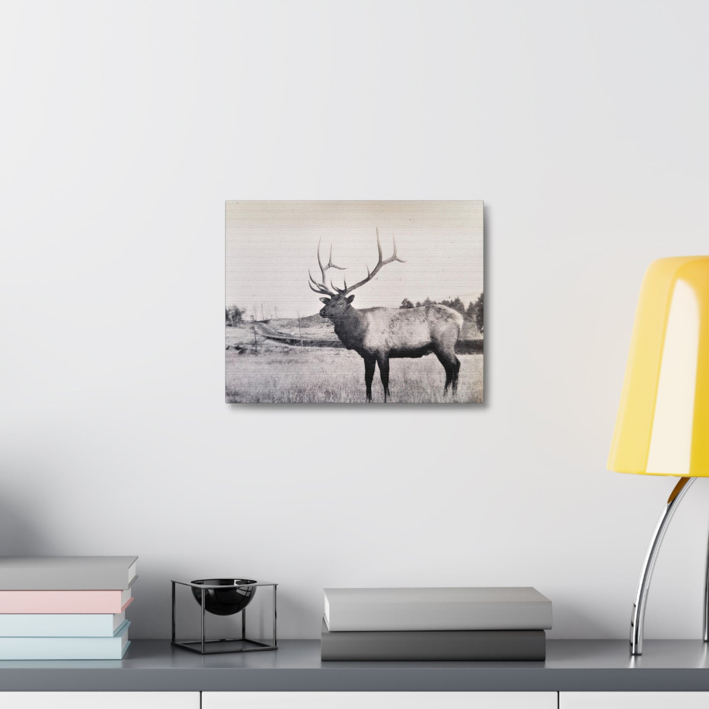 Yellowstone Bull Elk Stretched Canvas