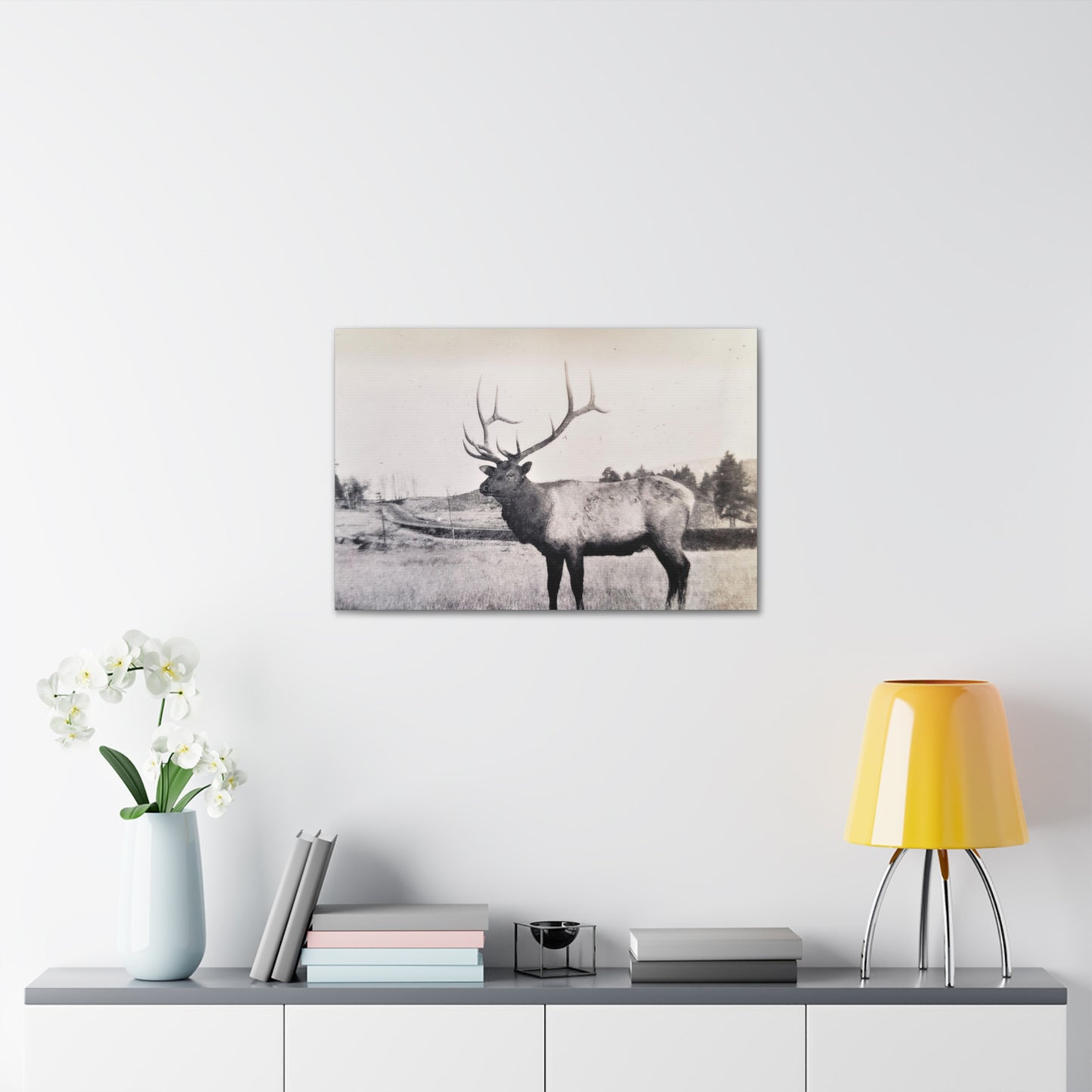 Yellowstone Bull Elk Canvas Gallery Wraps