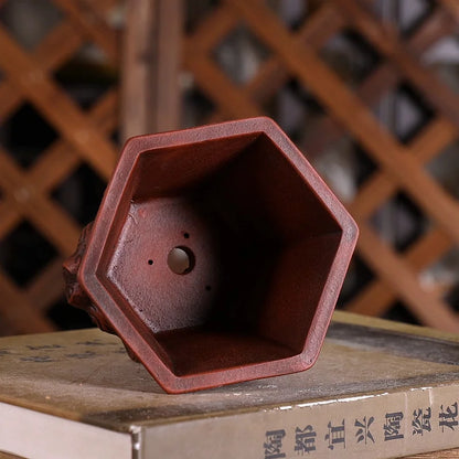 Purple Sand Plum Blossom Bonsai Pot – Carved Traditional Chinese Planter - - Planter