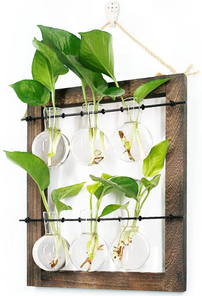 Double Layer Wall Hanging Glass Propagate Station With 6 Bulbs for Plants