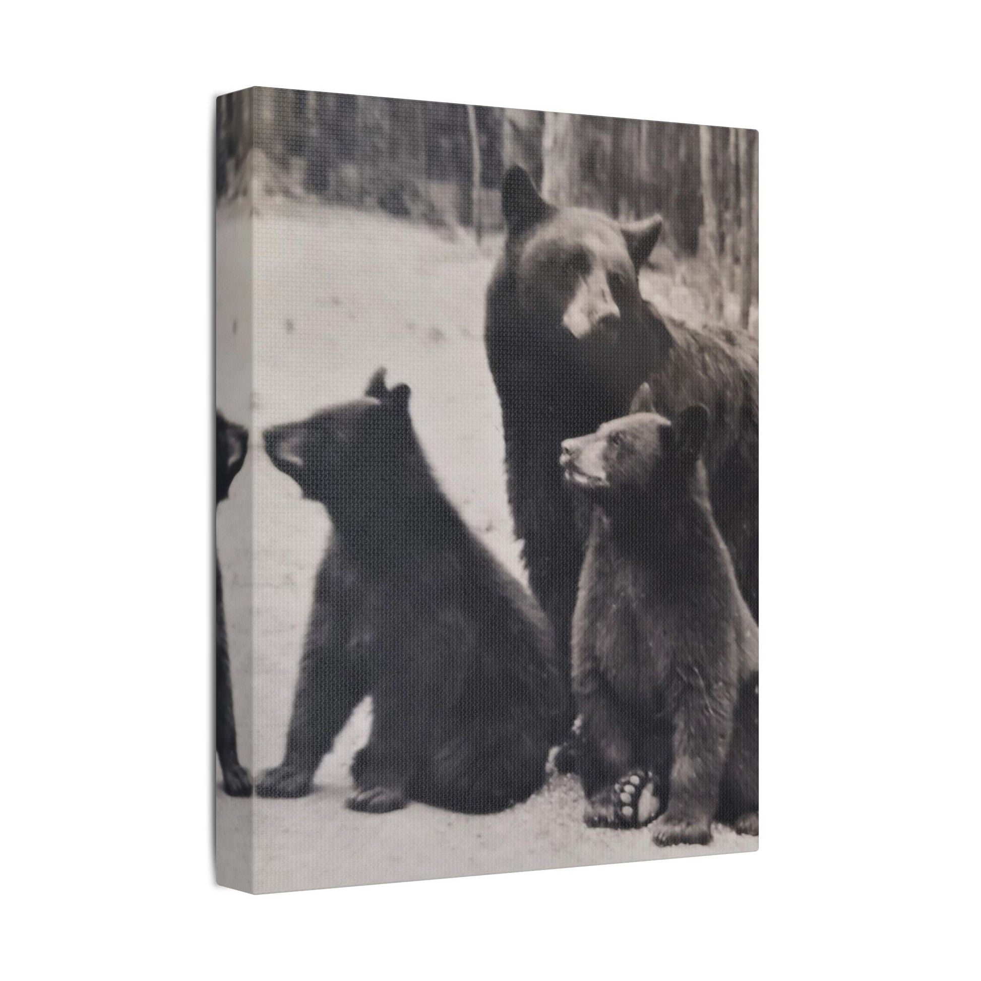 Yellowstone Black Bears Satin Canvas Stretched