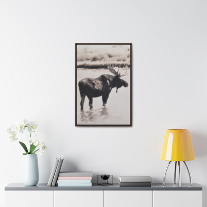 Yellowstone Bull Moose Gallery Canvas Wraps Vertical Frame 20″ x 30″ Premium Gallery Wraps (1.25″) Walnut