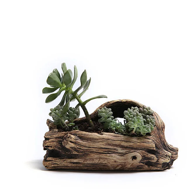 Driftwood Planter Wood Vintage Plant Container Cement Flower Pot