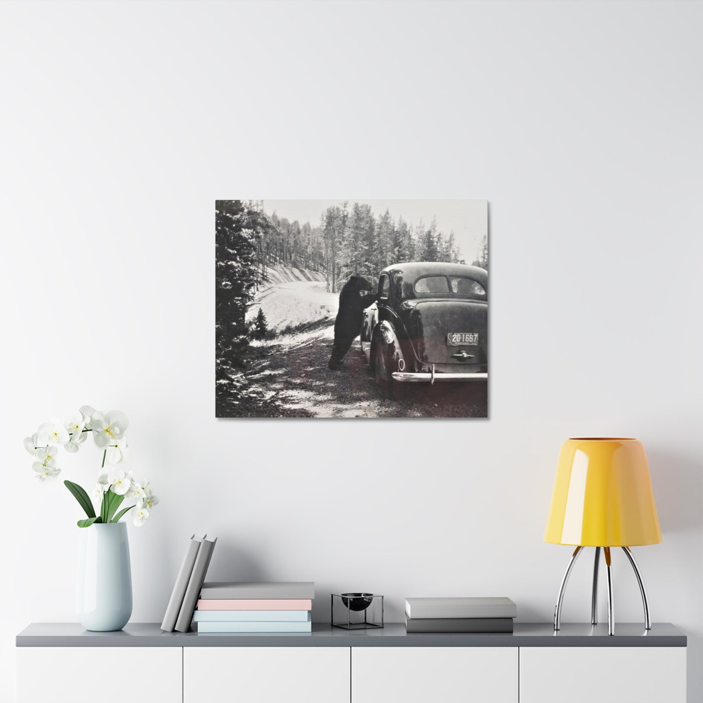 Yellowstone Bear Car Stretched Canvas