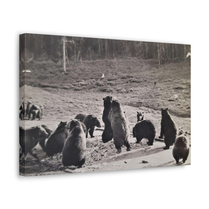 Yellowstone Grizzly Bears Canvas Gallery Wraps