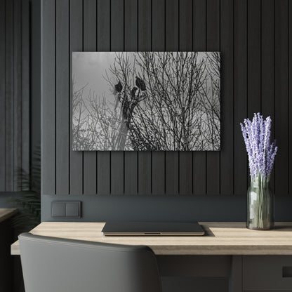 Black & White Buzzards in Winter Trees French Cleat Hanging - 30″ x 20″ (Horizontal) 0.25'' - Home Decor
