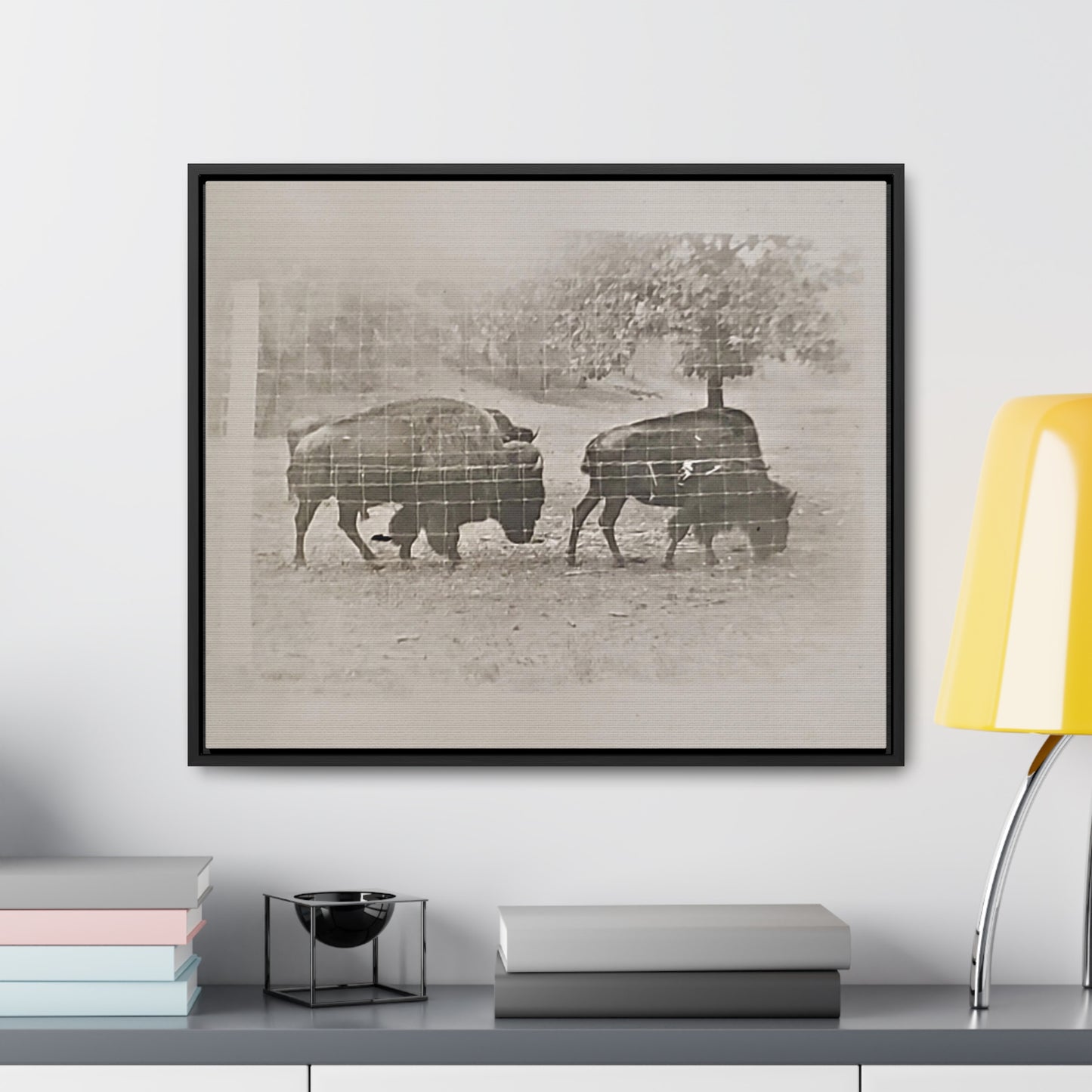 Buffalo at Redwood Falls Gallery Canvas Wraps, Horizontal Frame