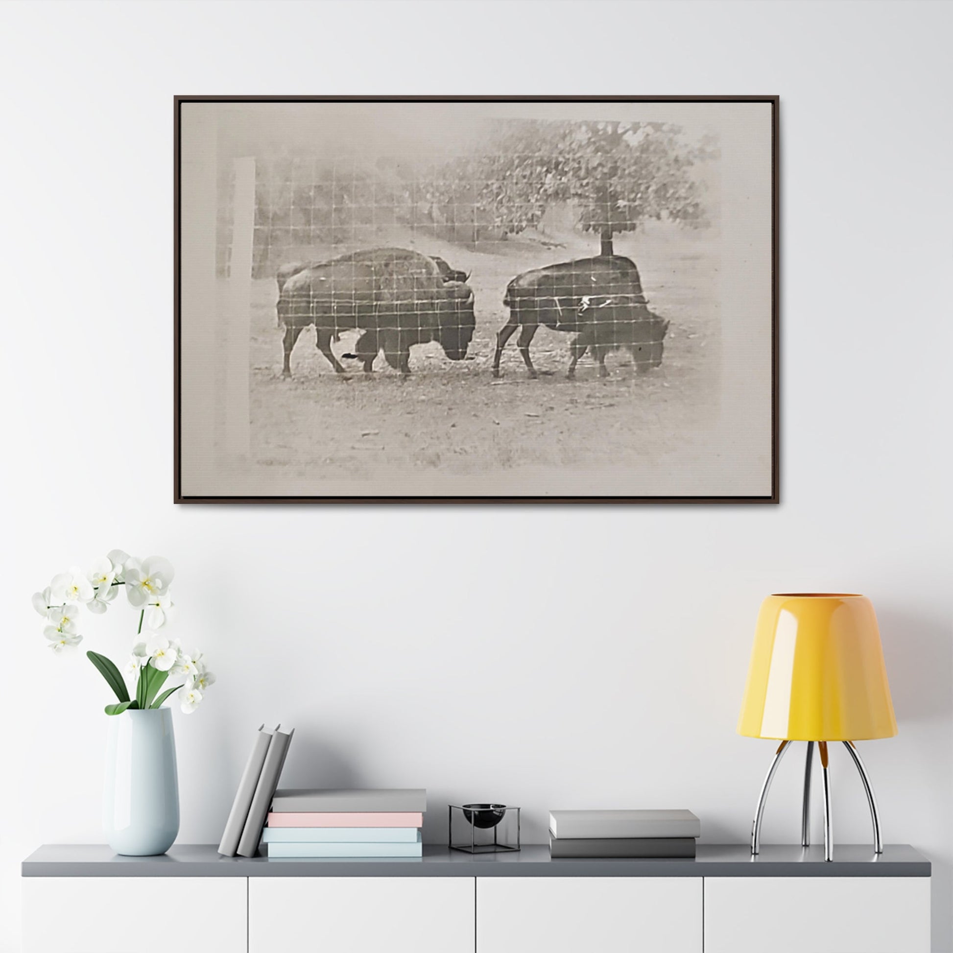 Buffalo at Redwood Falls Gallery Canvas Wraps Horizontal Frame 48″ x 32″ Walnut Premium Gallery Wraps (1.25″)