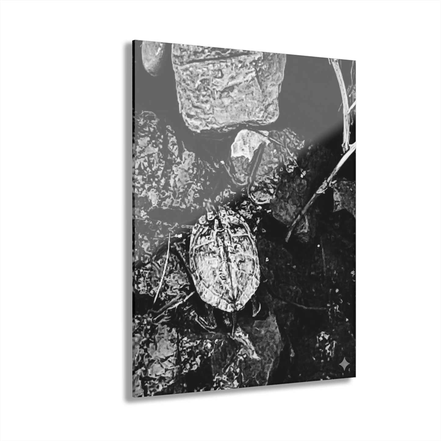 Black & White Turtle Macro Acrylic Print — Modern Nature Wall Art French Cleat Hanging - 11″ x 14″ (Vertical) 0.25'' - Home Decor