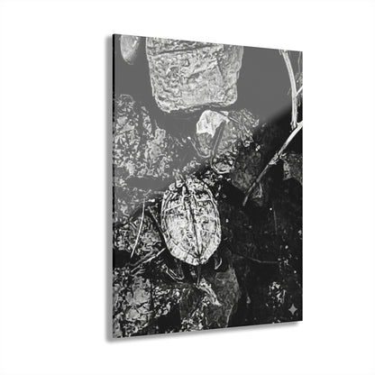 Black & White Turtle Macro Acrylic Print — Modern Nature Wall Art French Cleat Hanging - 11″ x 14″ (Vertical) 0.25'' - Home Decor