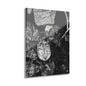 Black & White Turtle Macro Acrylic Print — Modern Nature Wall Art French Cleat Hanging - 11″ x 14″ (Vertical) 0.25'' - Home Decor