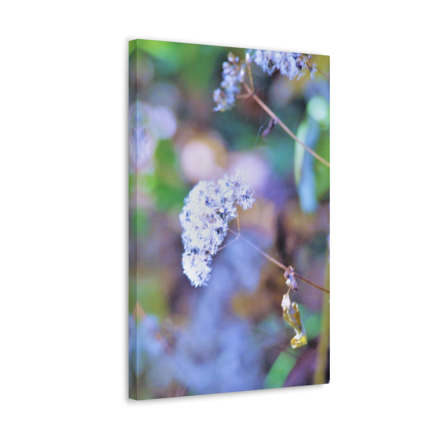 Macro Blue Canvas Gallery Wraps