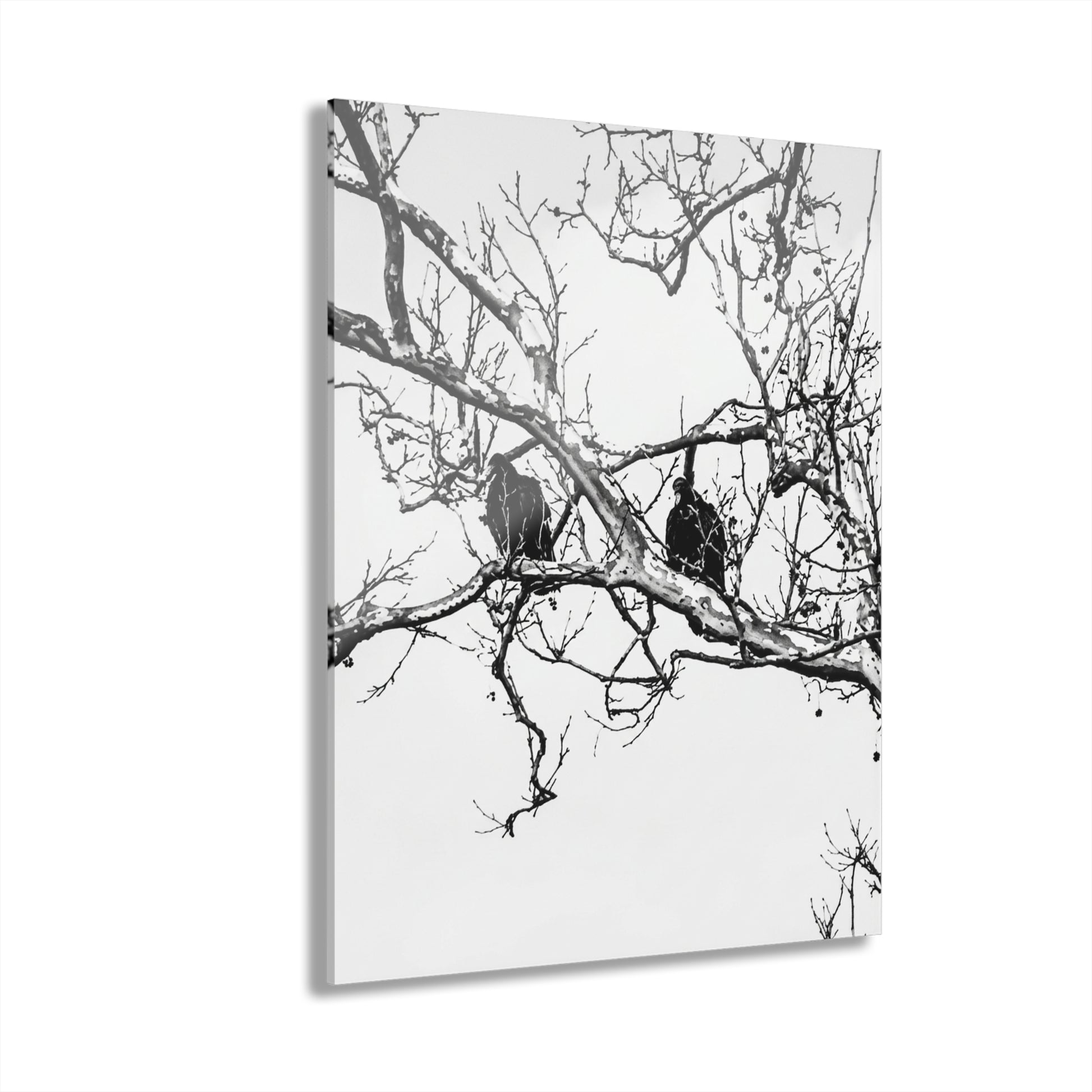 Black & White Buzzards Silhouette Acrylic Print — Modern Minimalist Wall Art - - Home Decor