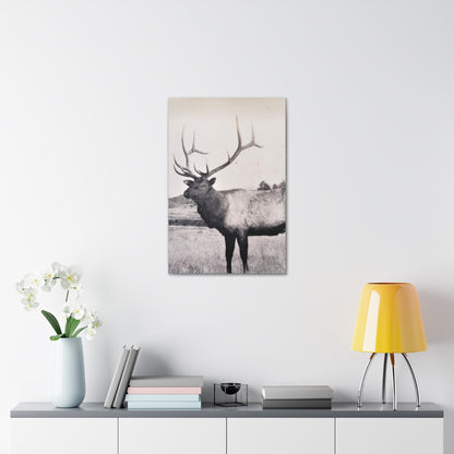 Yellowstone Bull Elk Canvas Gallery Wraps 20″ x 30″ 1.25"