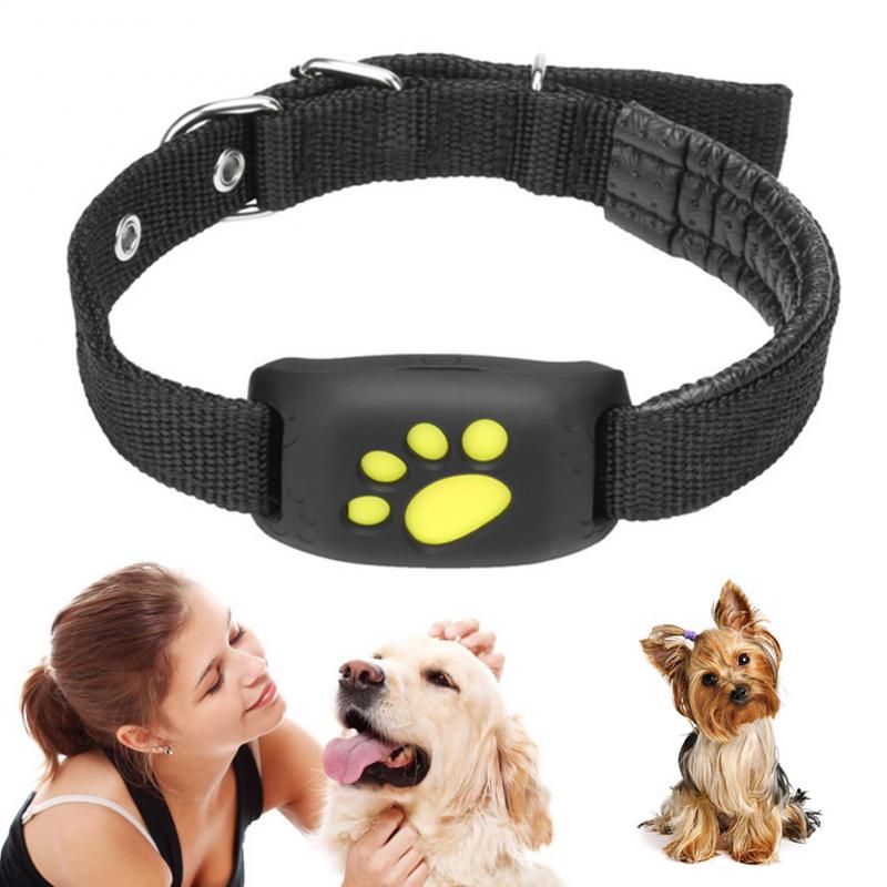 Pet GPS Tracker Collar - - collar