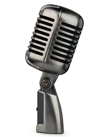 Professional Retro Condenser Microphone - FG2 - microphone