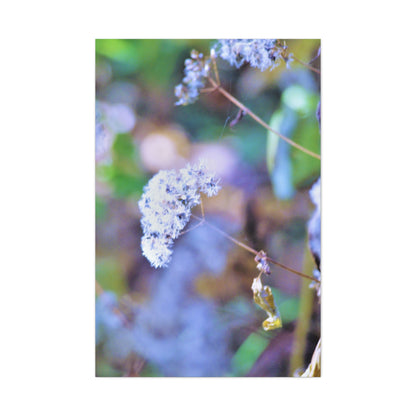 Macro Blue Canvas Gallery Wraps 32″ x 48″ 1.25"