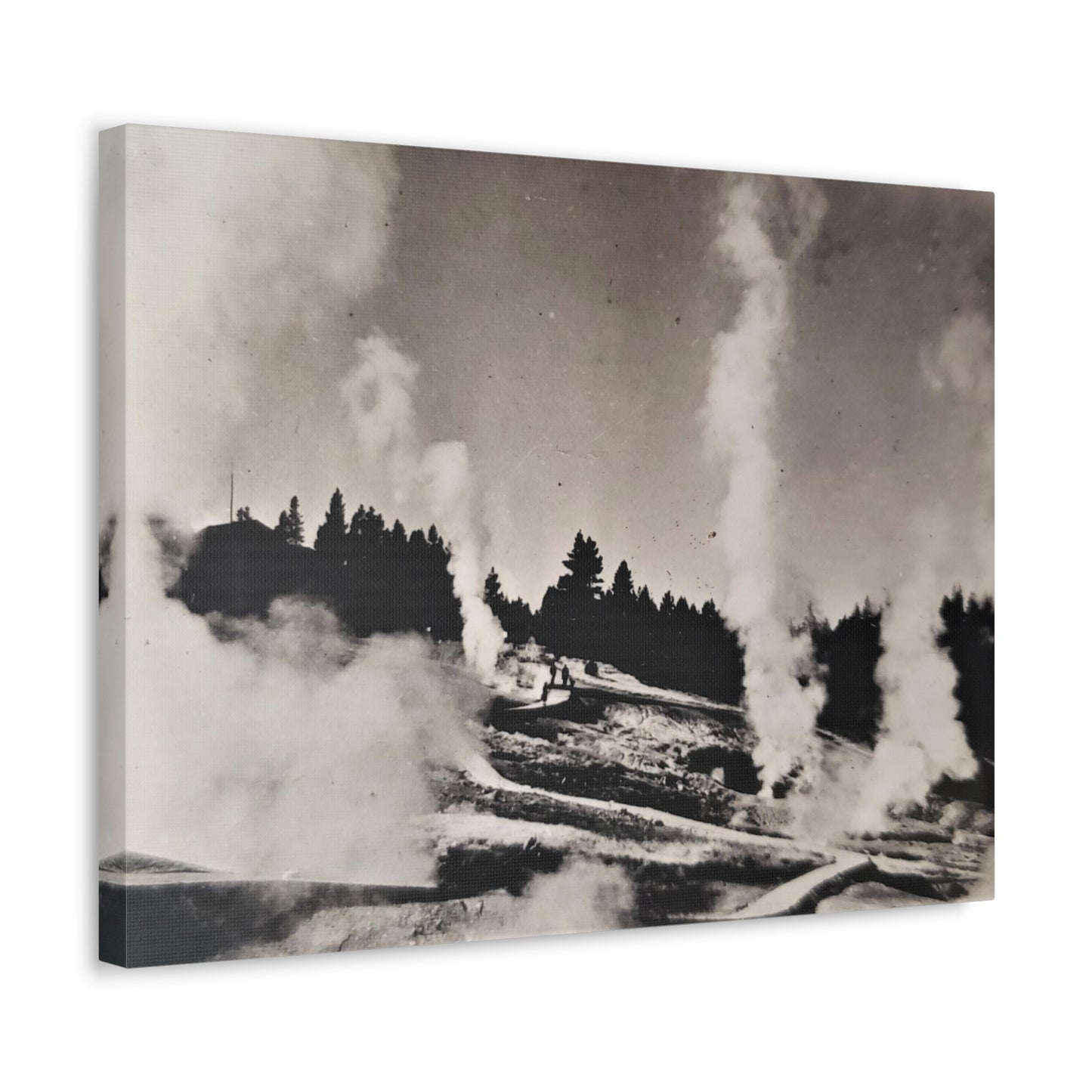 Norris Geyser Yellowstone Stretched Canvas