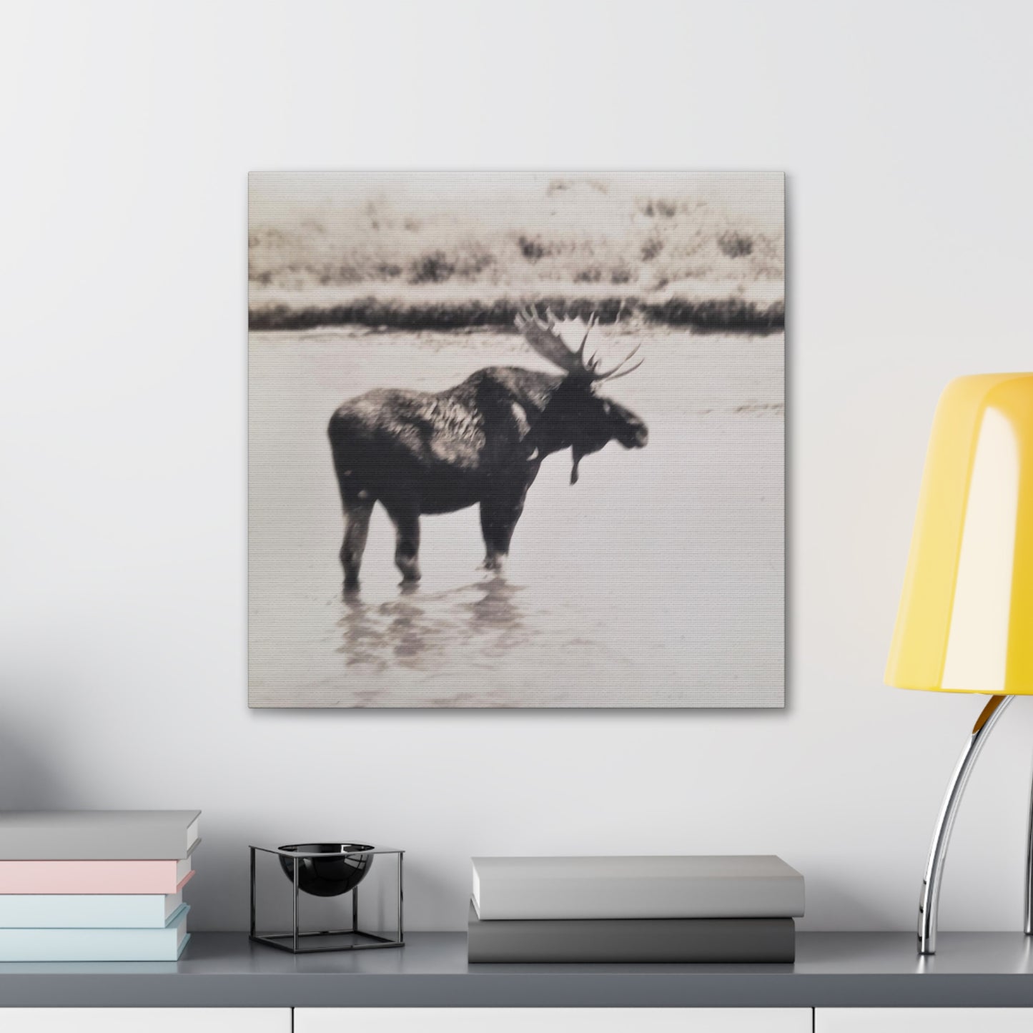 Yellowstone Bull Moose Canvas Gallery Wraps