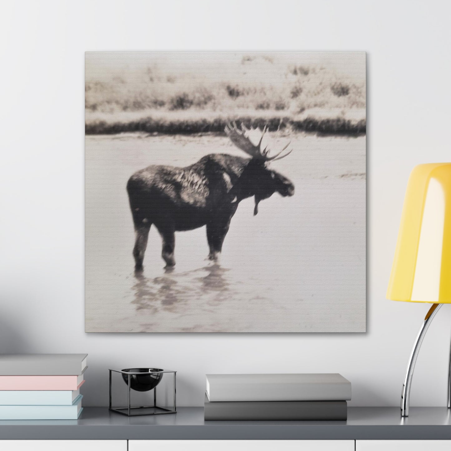 Yellowstone Bull Moose Canvas Gallery Wraps