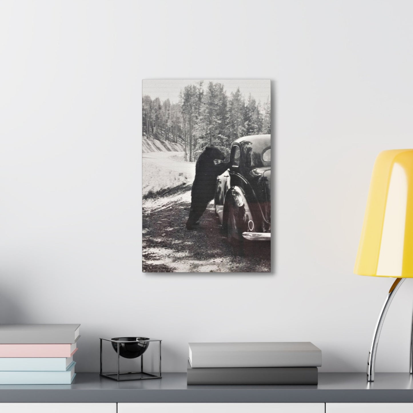 Yellowstone Bear Car Canvas Gallery Wraps 12" x 18" 1.25"