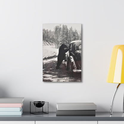 Yellowstone Bear Car Canvas Gallery Wraps 12" x 18" 1.25"