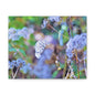 Macro Blue Canvas Gallery Wraps 10″ x 8″ 1.25"