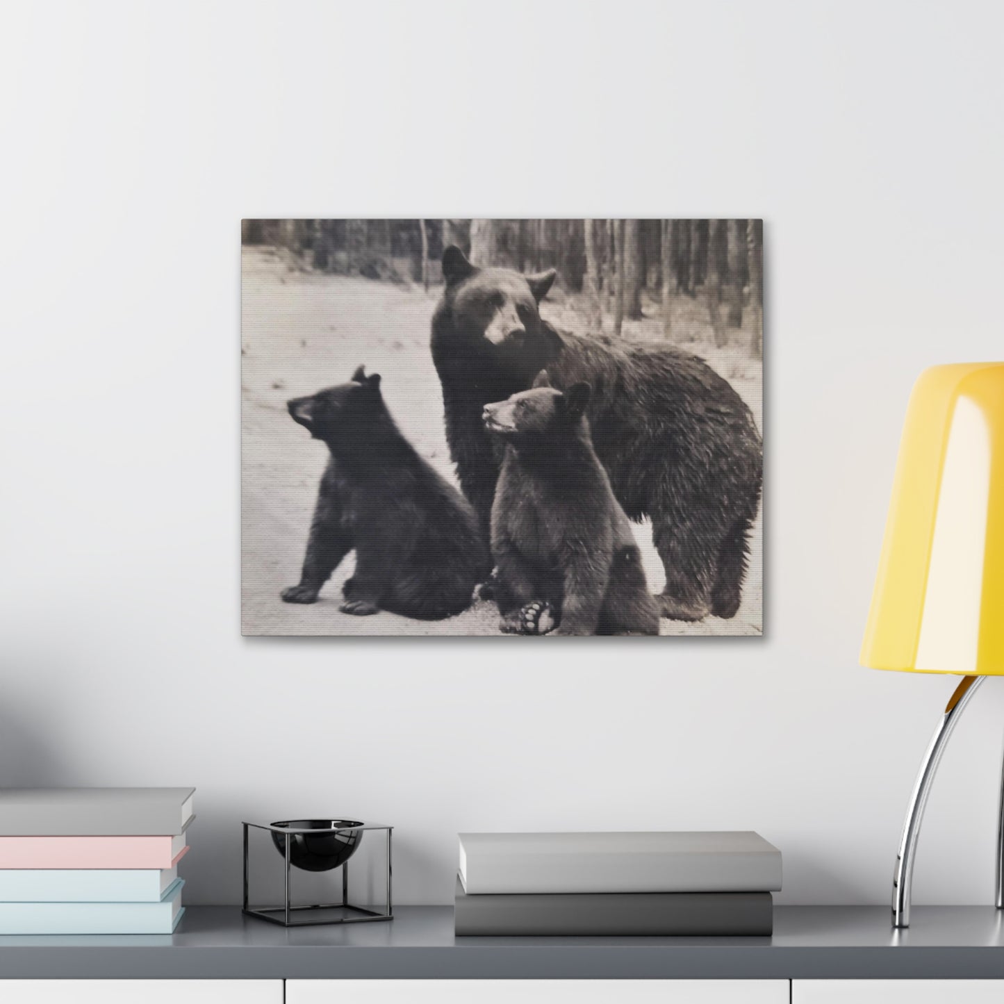 Yellowstone Black Bears Canvas Gallery Wraps