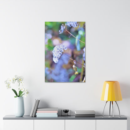 Macro Blue Canvas Gallery Wraps