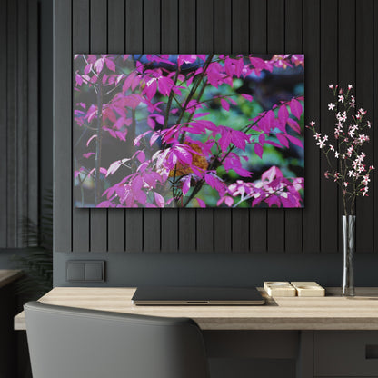 Fall Red Acrylic Prints 36" x 24" (Horizontal) Glossy