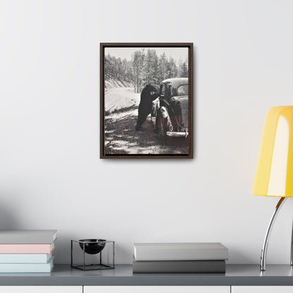 Yellowstone Bear Car Gallery Canvas Wraps Vertical Frame 11″ x 14″ Premium Gallery Wraps (1.25″) Walnut