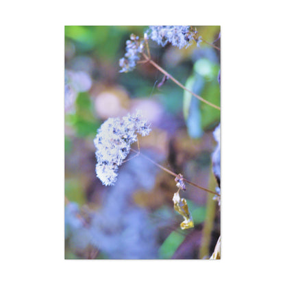 Macro Blue Canvas Gallery Wraps 24″ x 36″ 1.25"