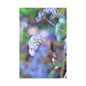 Macro Blue Canvas Gallery Wraps 24″ x 36″ 1.25"