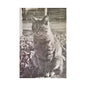 Caledonia Satin Canvas Stretched 24″ x 36″ (Vertical) 1.5"