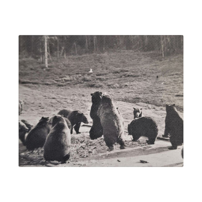 Yellowstone Grizzly Bears Satin Canvas Stretched