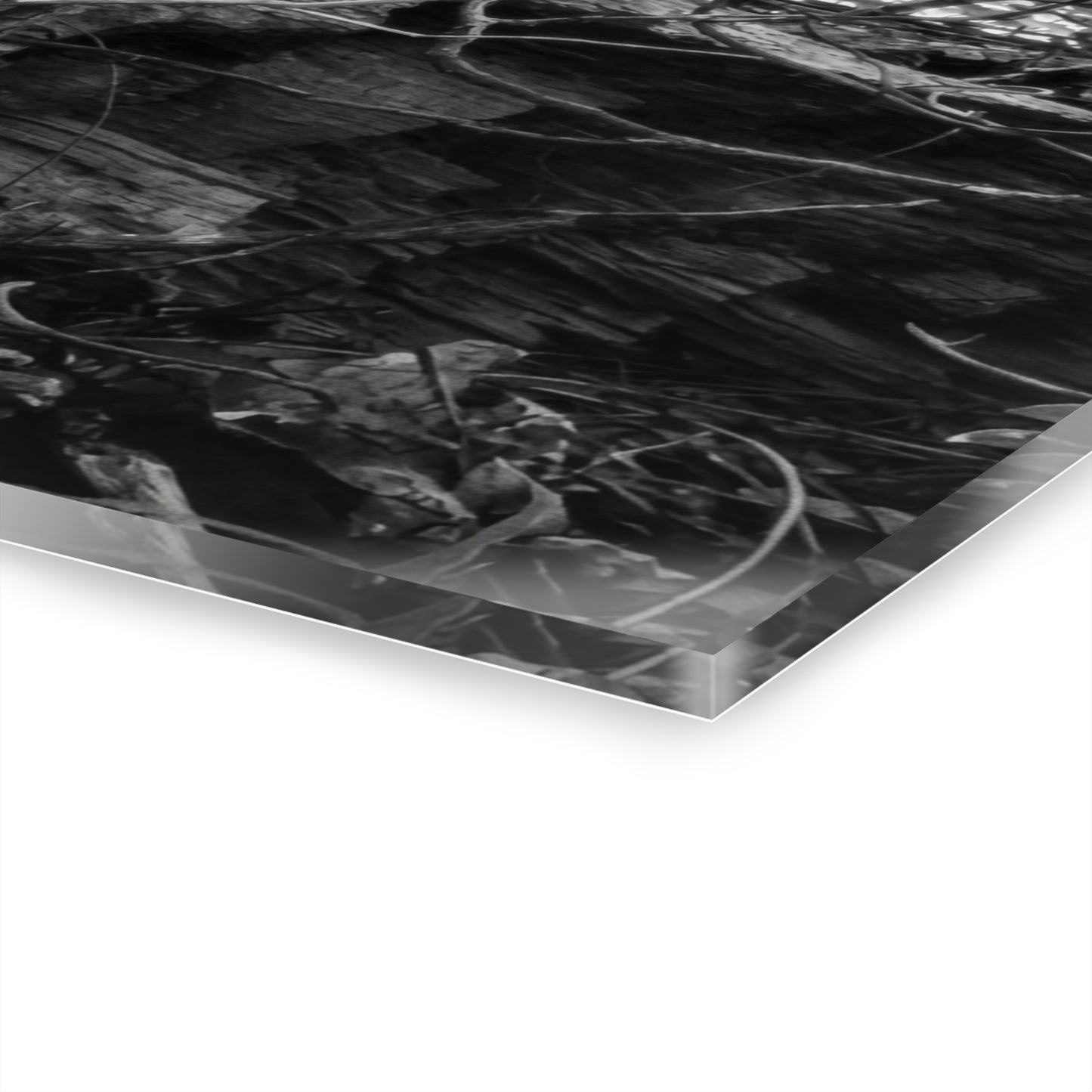 Black & White Forest Acrylic Print French Cleat Hang - - Home Decor