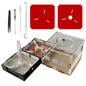 Ant Explorer STEM Kit: DIY Ant Habitat with Observation Tower - 03 - ant farm