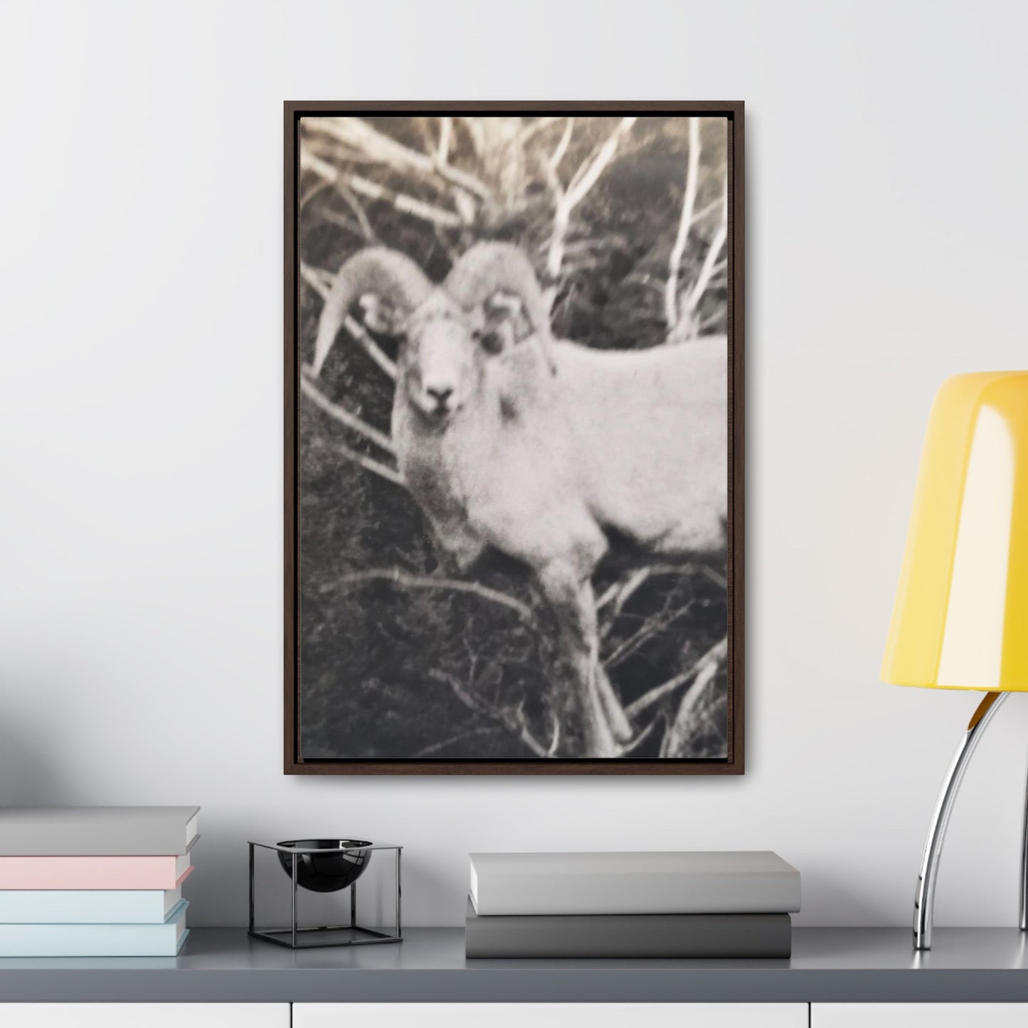 Yellowstone Big Horn Sheep Gallery Canvas Wraps Vertical Frame 16″ x 24″ Premium Gallery Wraps (1.25″) Walnut