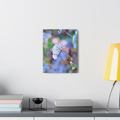 Macro Blue Canvas Gallery Wraps