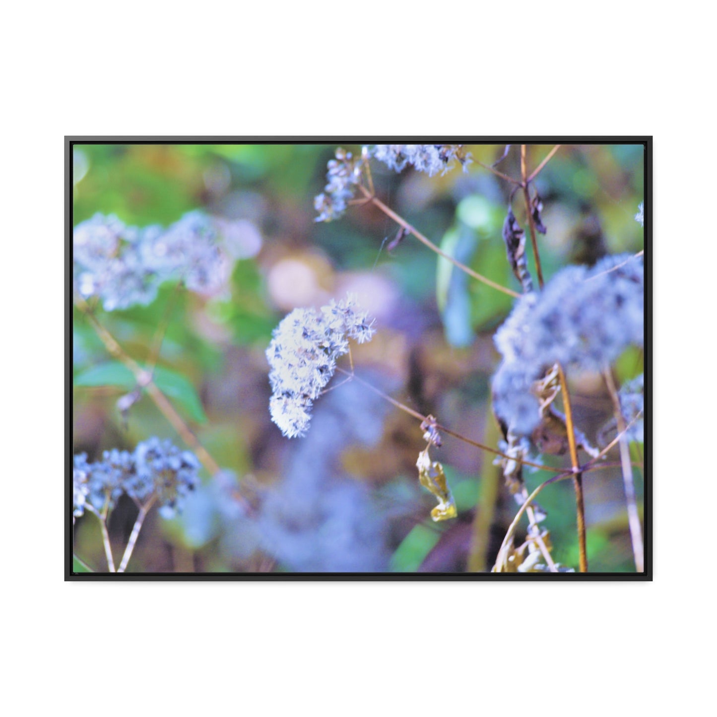 Macro Blue Gallery Canvas Wraps, Horizontal Frame