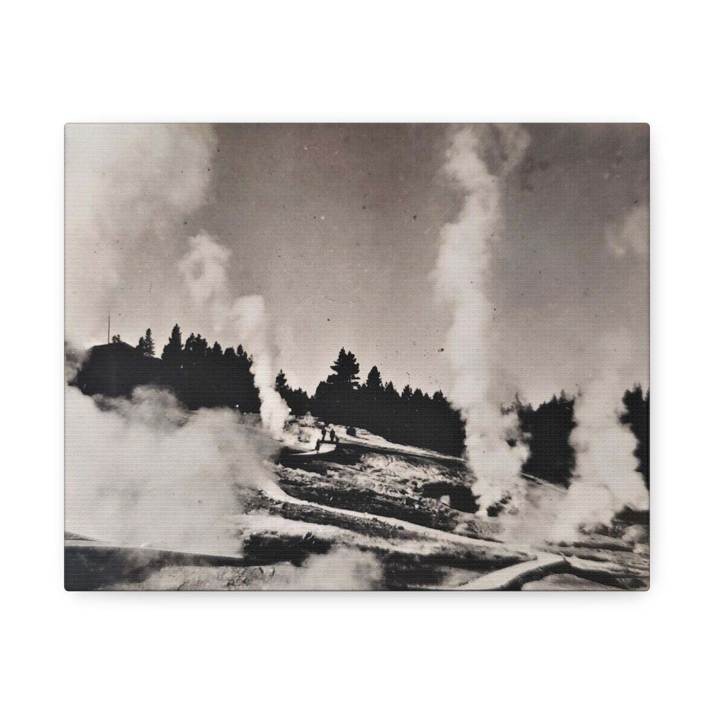 Norris Geyser Yellowstone Stretched Canvas