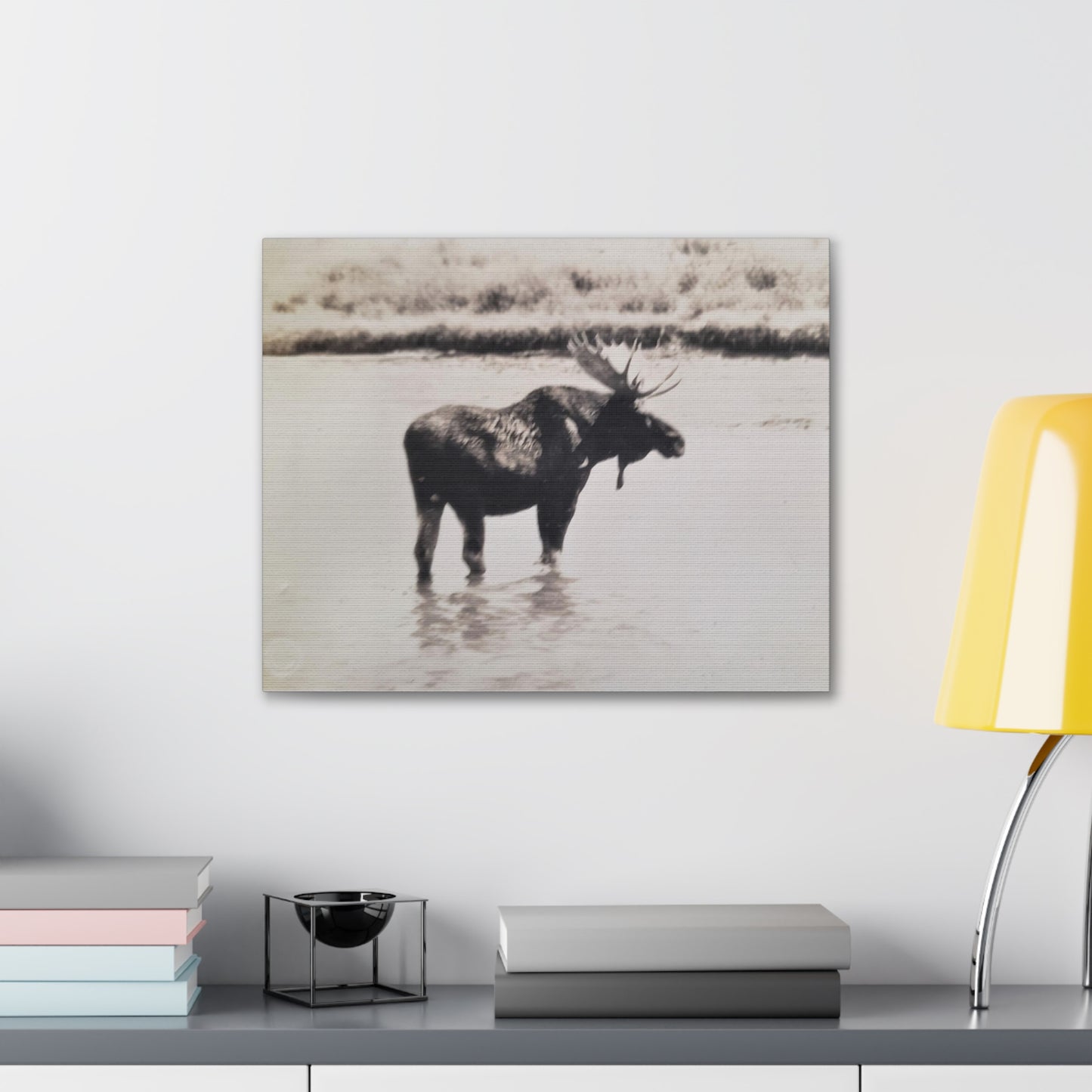 Yellowstone Bull Moose Canvas Gallery Wraps